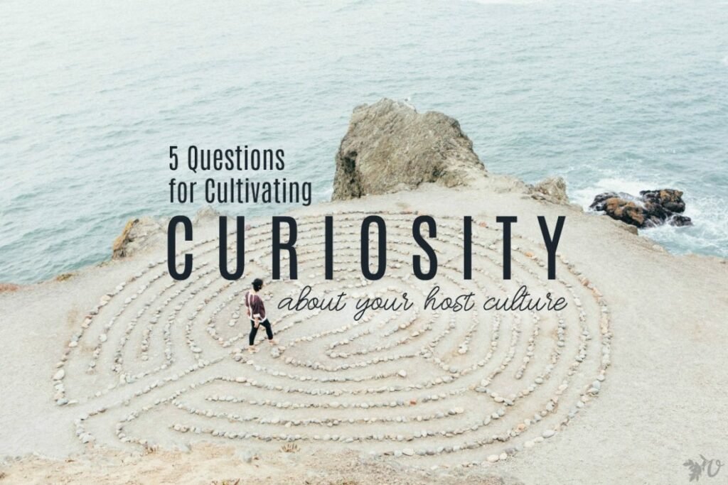 Cultured Curiosity