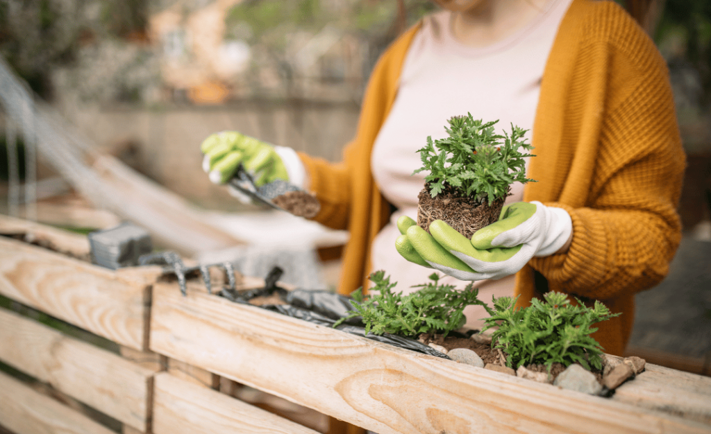 Exploring New Hobbies: How to Discover and Cultivate Your Passions Exploring New Hobbies